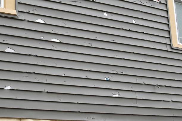 Best Aluminum Siding Installation  in Hudson Lake, IN